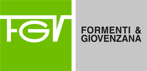 FGV Italy